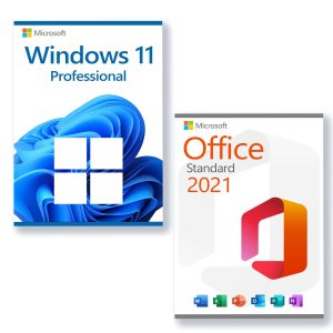 Комплект: Windows 11 Pro + Office 2024 Pro Plus